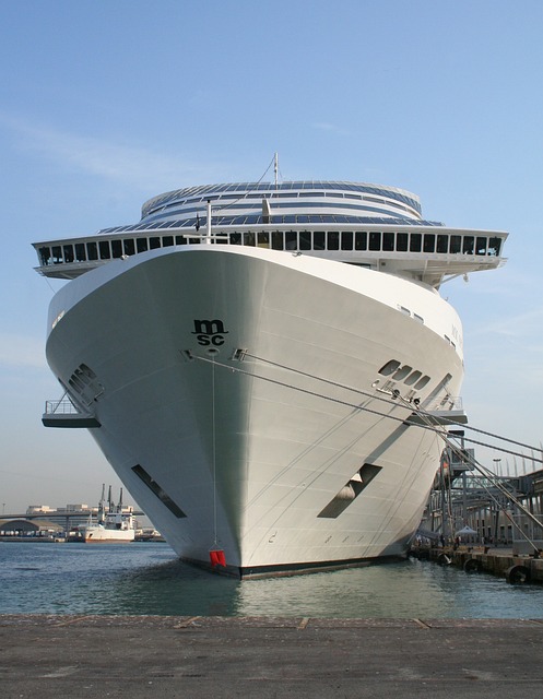 lawyer,lawsuit,cruise ship,Kansas City MO