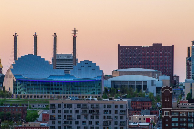 lawyer,lawsuit,cruise ship,Kansas City MO