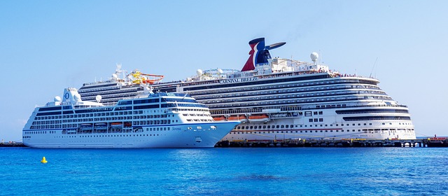 lawyer,lawsuit,cruise ship,Los Angeles CA