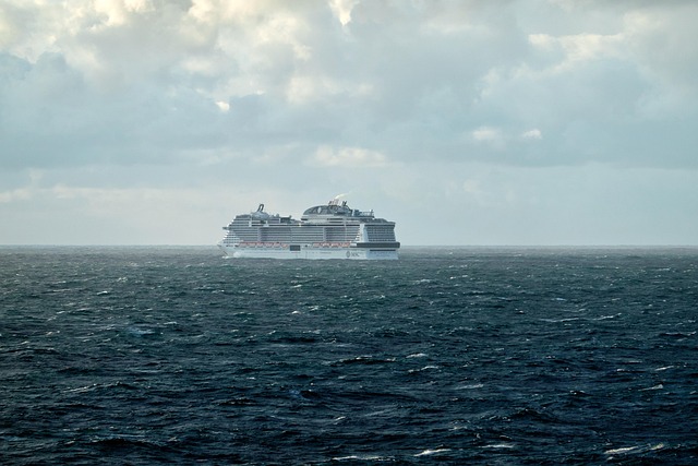 lawyer,lawsuit,cruise ship,Los Angeles CA