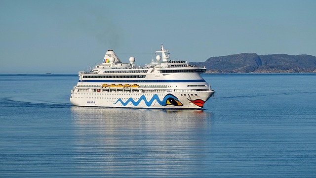 lawyer,lawsuit,cruise ship,Los Angeles CA
