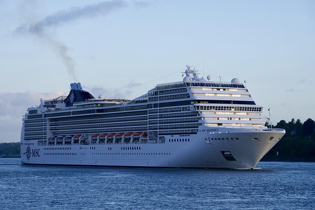 lawyer,lawsuit,cruise ship,Los Angeles CA