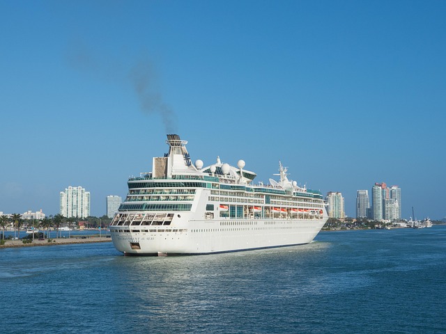 lawyer,lawsuit,cruise ship,Miami FL