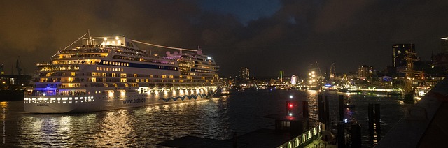 lawyer,lawsuit,cruise ship,Newark NJ