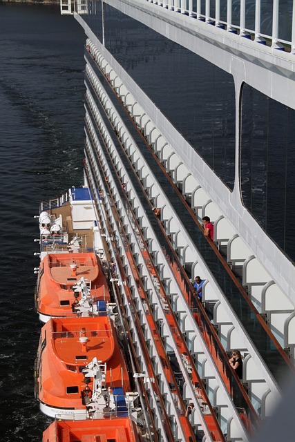 lawyer,lawsuit,cruise ship,Portland OR