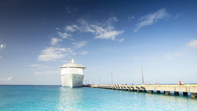 lawyer,lawsuit,cruise ship,San Antonio TX
