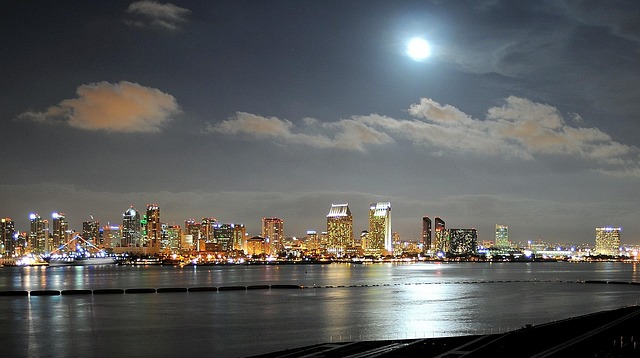 lawyer,lawsuit,cruise ship,San Diego CA