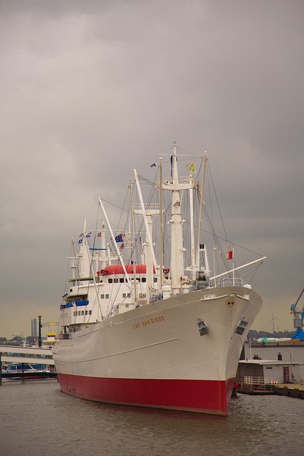 lawyer,lawsuit,cruise ship,San Diego CA