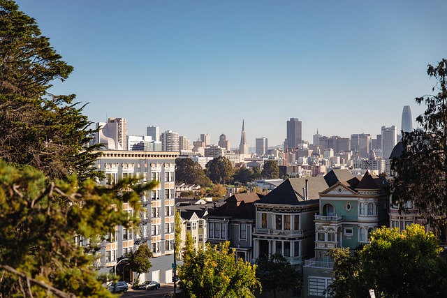 lawyer,lawsuit,cruise ship,San Francisco CA