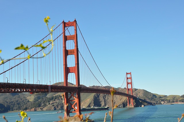 lawyer,lawsuit,cruise ship,San Francisco CA