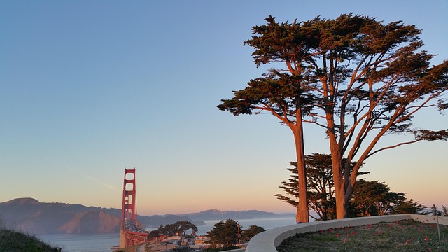 lawyer,lawsuit,cruise ship,San Francisco CA