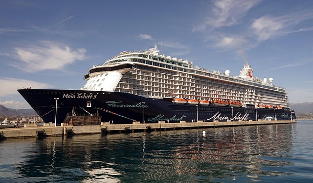 lawyer,lawsuit,cruise ship,Seattle WA