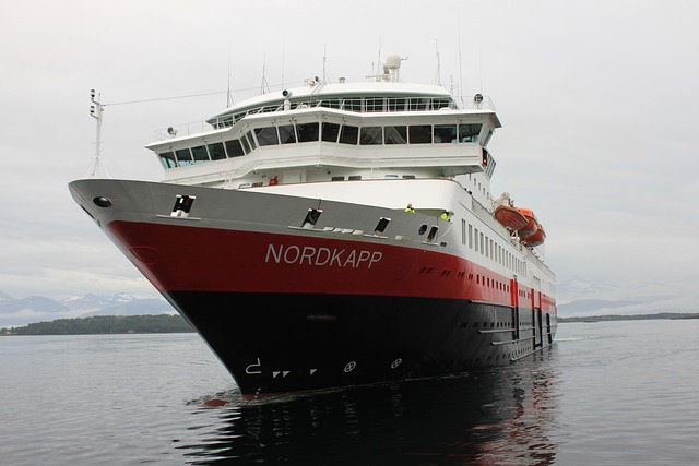 lawyer,lawsuit,cruise ship,Seattle WA