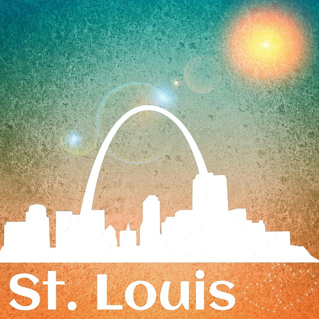 lawyer,lawsuit,cruise ship,St Louis MO