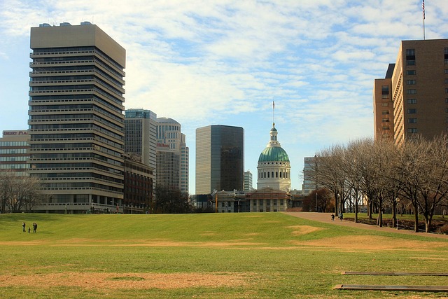 lawyer,lawsuit,cruise ship,St Louis MO