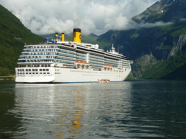 lawyer,lawsuit,cruise ship,St Louis MO
