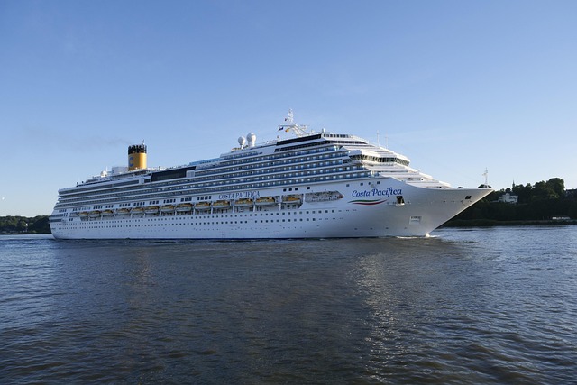 lawyer,lawsuit,cruise ship,St Louis MO