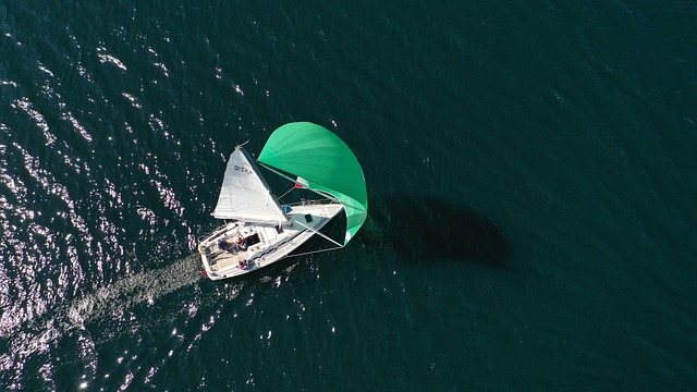 lawyer,lawsuit,cruise ship,Tampa FL
