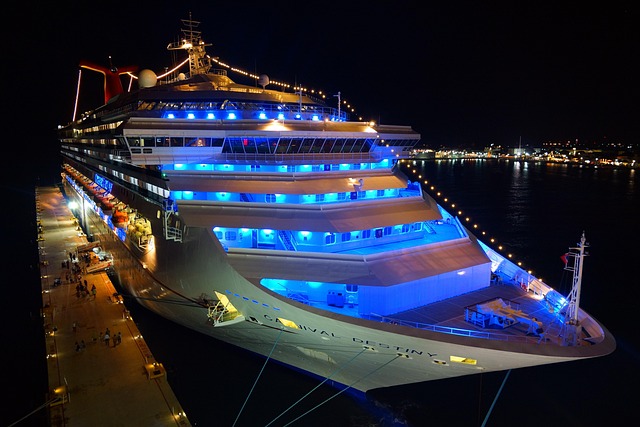lawyer,lawsuit,cruise ship,Wichita KS