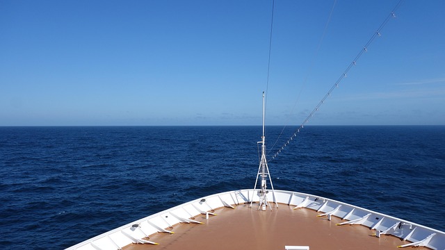 lawyer,lawsuit,cruise ship,Wichita KS