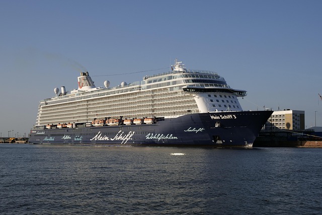 lawyer,lawsuit,cruise ship,Wichita KS