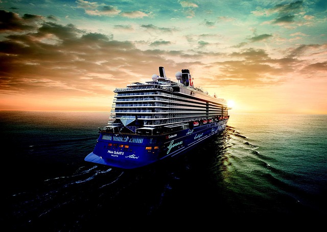 lawyer,lawsuit,cruise ship,Wichita KS