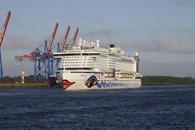 lawyer,lawsuit,cruise ship,Wichita KS