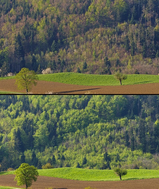 lawyer,lawsuit,Denver CO