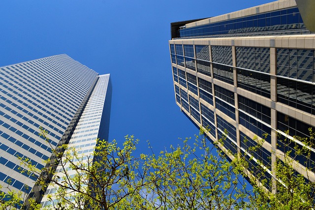 lawyer,lawsuit,Houston TX