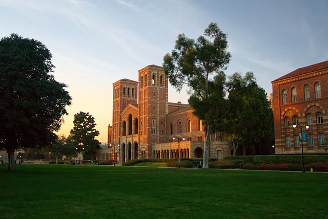 lawyer,lawsuit,Los Angeles CA