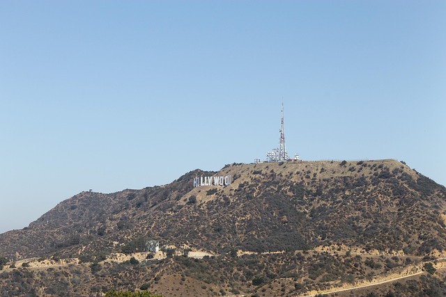 lawyer,lawsuit,Los Angeles CA