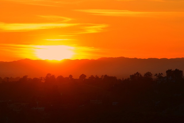 lawyer,lawsuit,Los Angeles CA