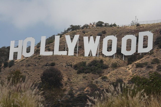 lawyer,lawsuit,Los Angeles CA
