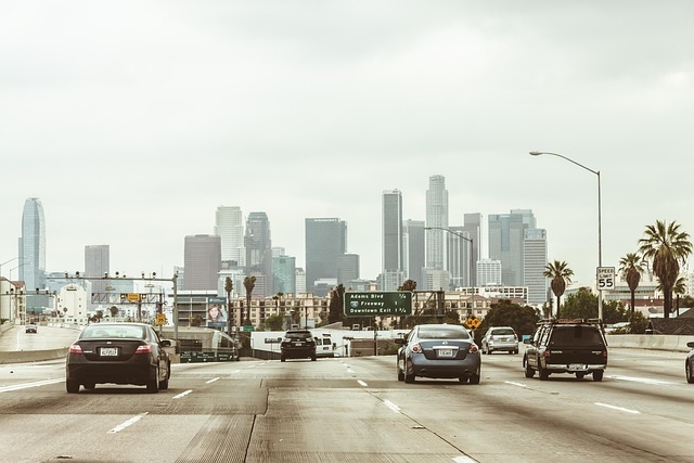 lawyer,lawsuit,Los Angeles CA