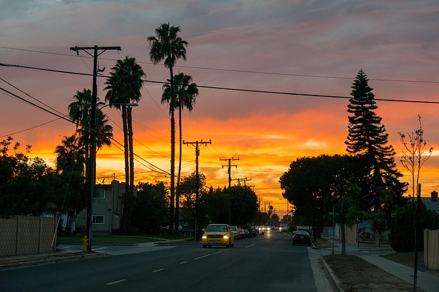 lawyer,lawsuit,Los Angeles CA