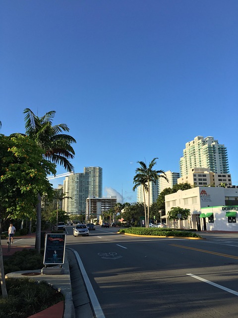 lawyer,lawsuit,Miami FL