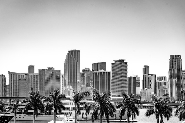 lawyer,lawsuit,Miami FL