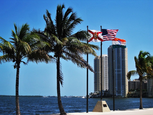lawyer,lawsuit,Miami FL