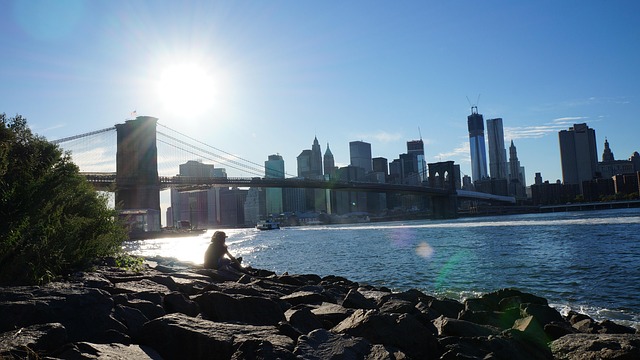 lawyer,lawsuit,New York