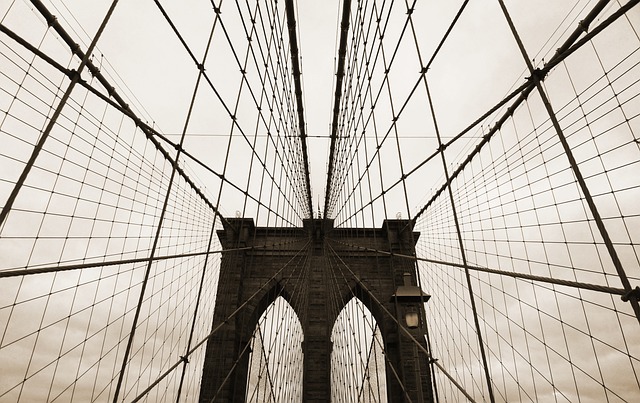lawyer,lawsuit,New York NY