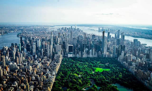 lawyer,lawsuit,New York NY