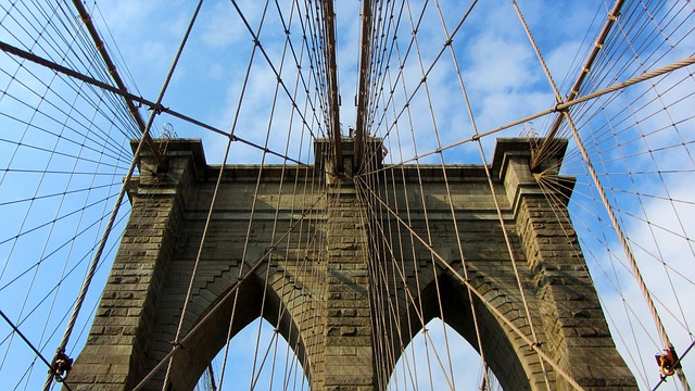 lawyer,lawsuit,New York NY