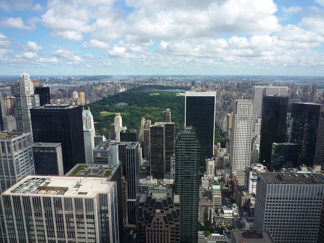 lawyer,lawsuit,New York NY