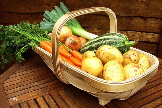 lawyer,lawsuit,nursing home,Denver CO