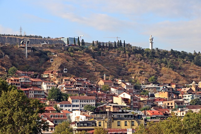 lawyer,lawsuit,nursing home,Georgia