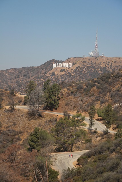lawyer,lawsuit,nursing home,Los Angeles CA
