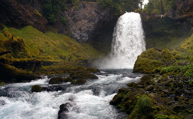 lawyer,lawsuit,nursing home,Oregon