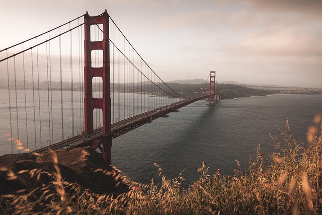 lawyer,lawsuit,nursing home,San Francisco CA