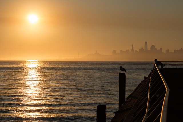 lawyer,lawsuit,nursing home,San Francisco CA