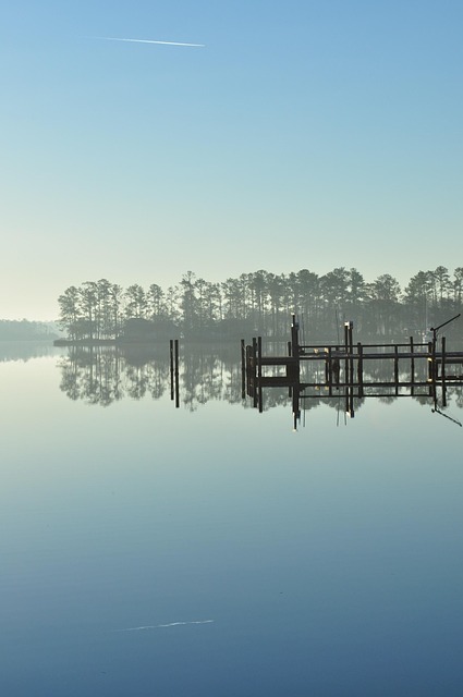 lawyer,lawsuit,nursing home,South Carolina